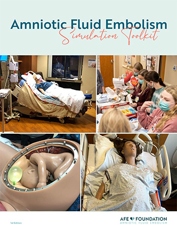 Cover of AFE Foundation AFE Simulation Toolkit